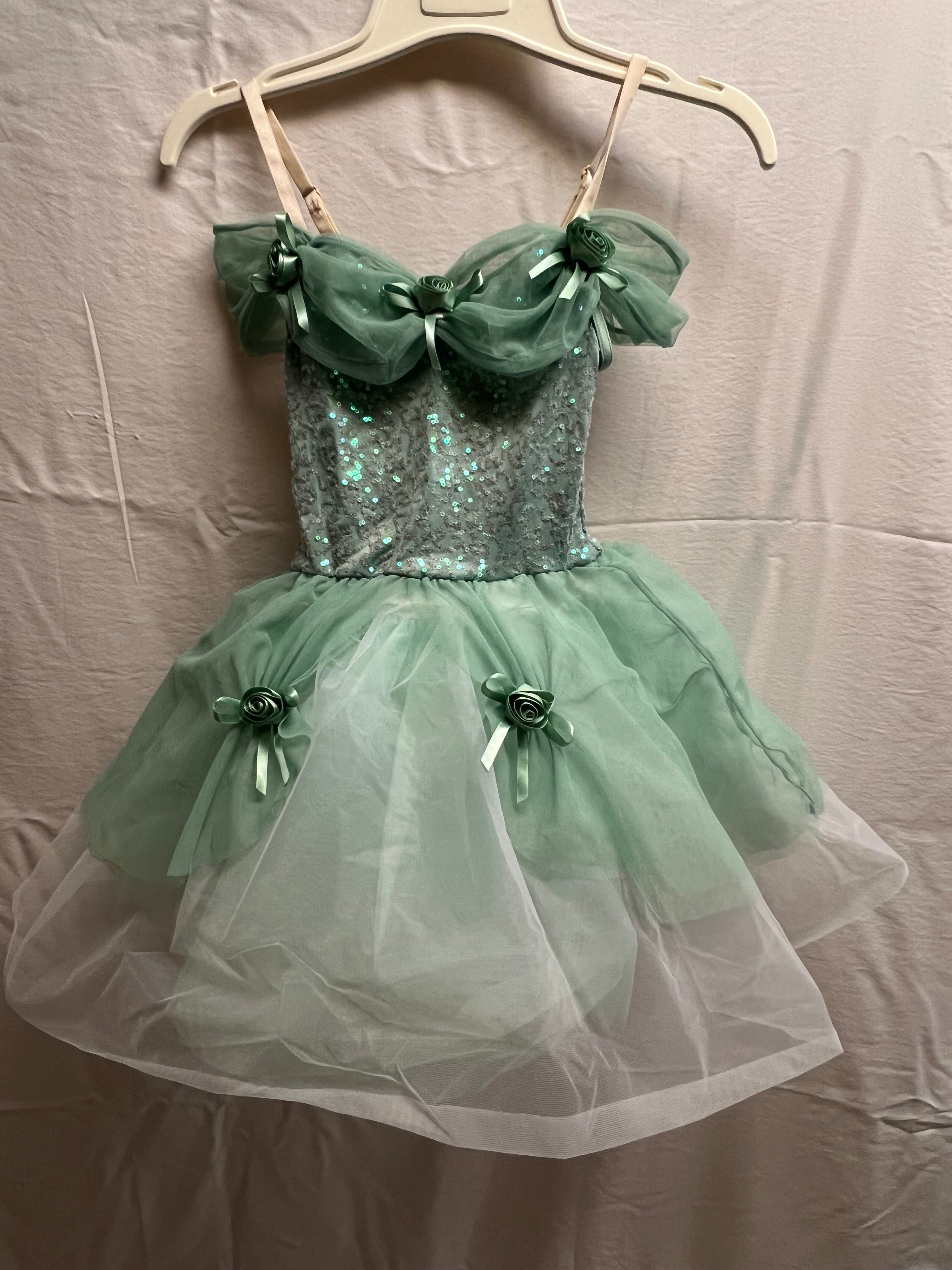 Light Green Ballet Dress. CS