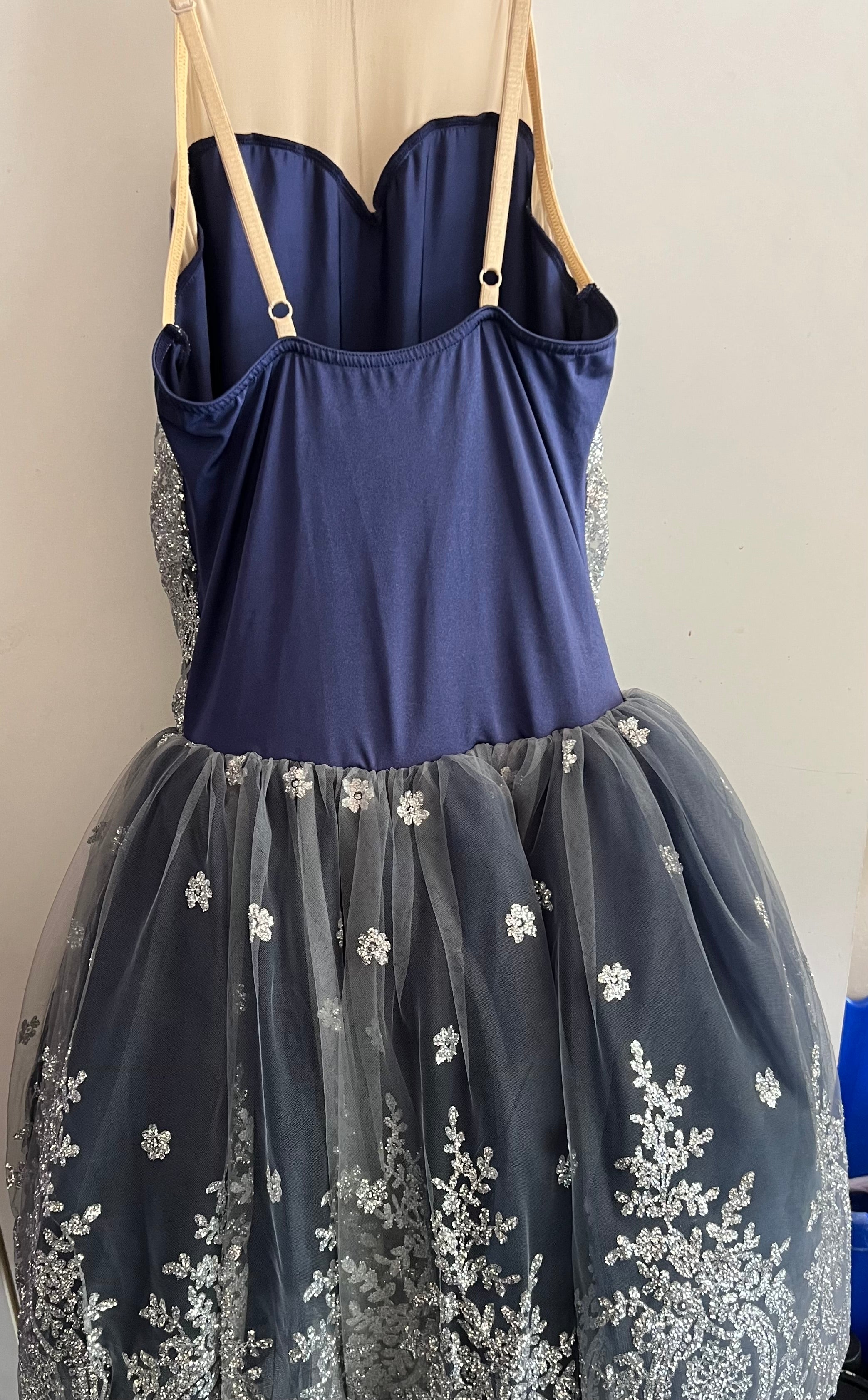 BLUE BALLET.