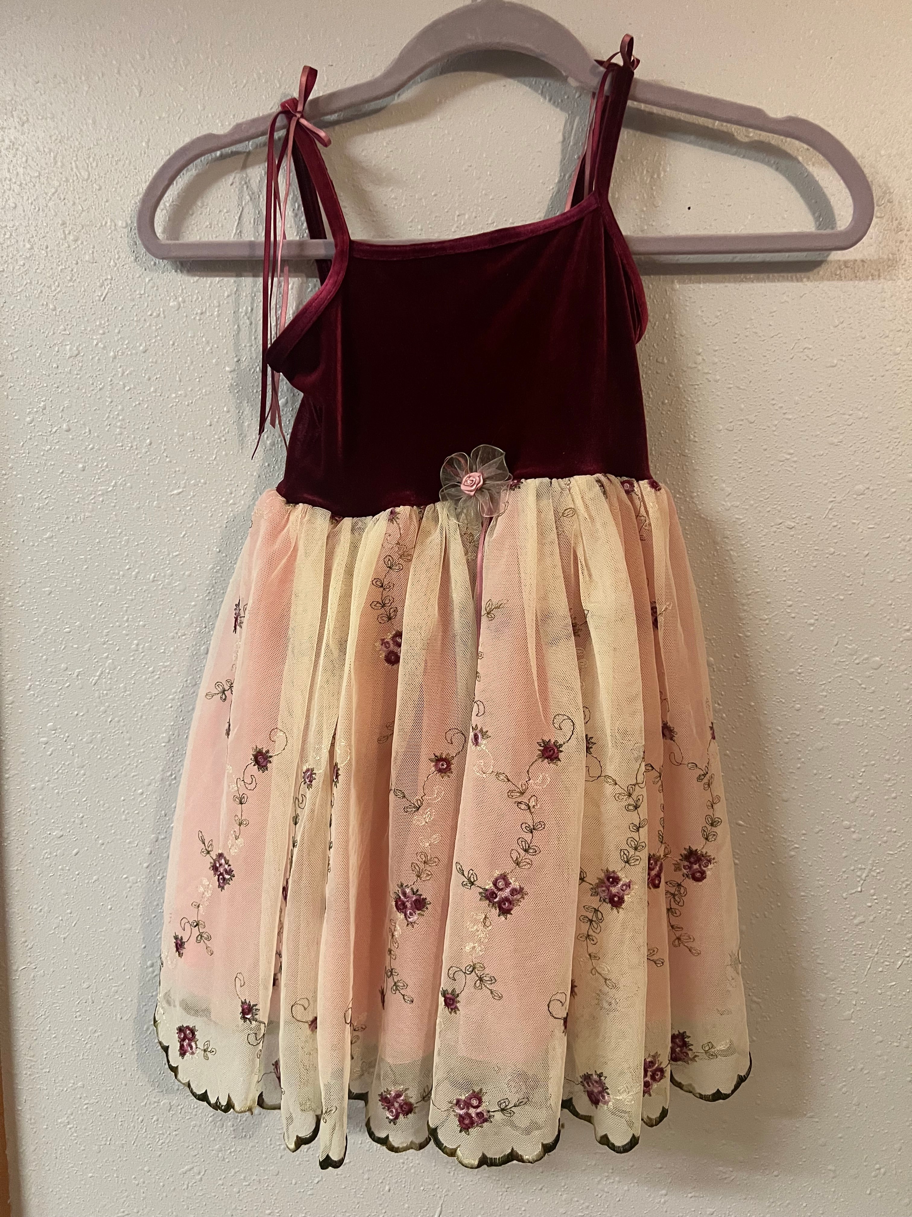 Wine & Beige Velvet Lyrical Dress.    IC