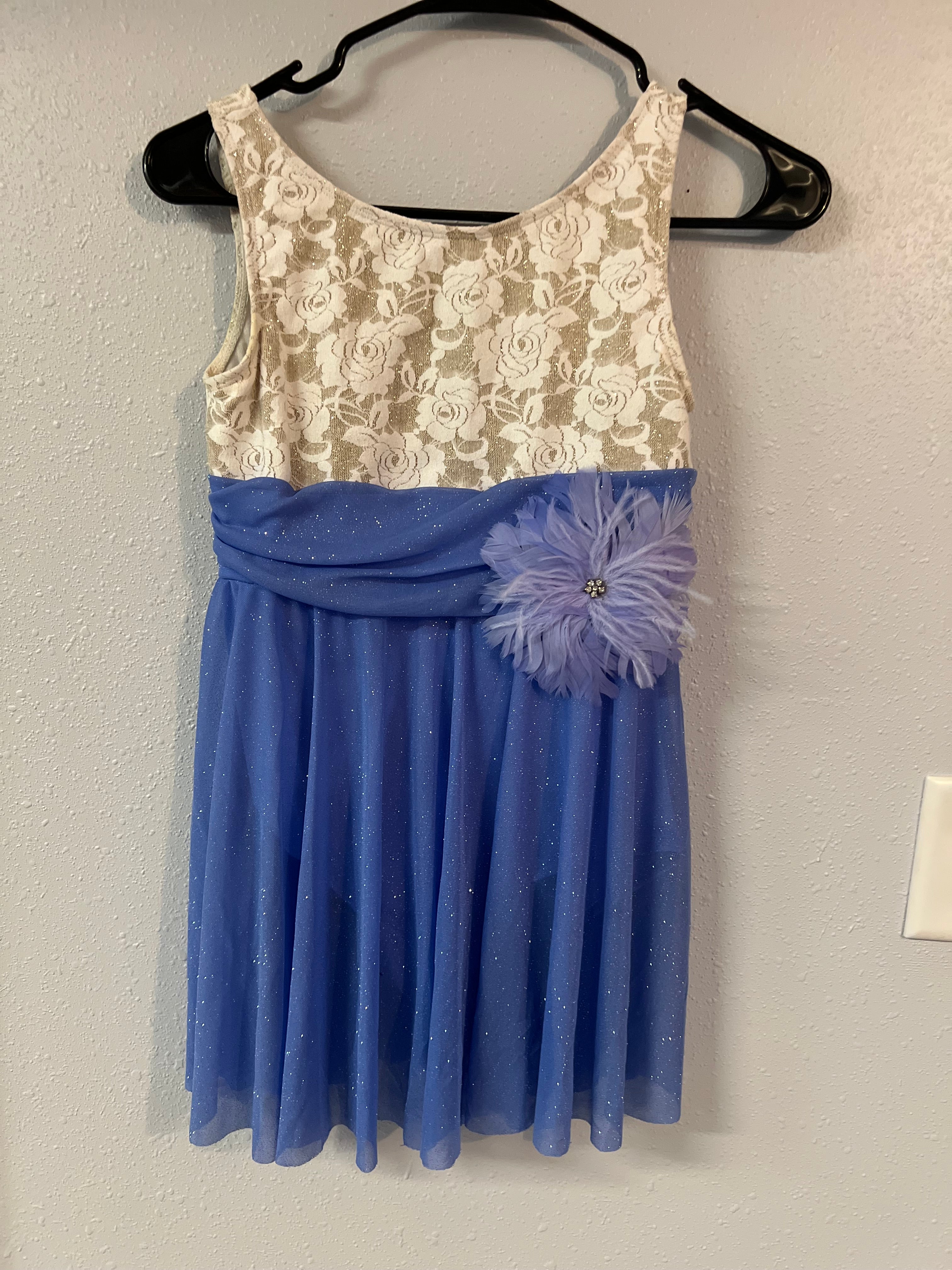 BLUISH PURPLE WITH BEIGE TOP DRESS